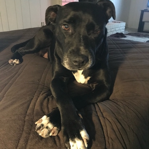 Meet your Posher, Jonathan - Picture 1 of 1